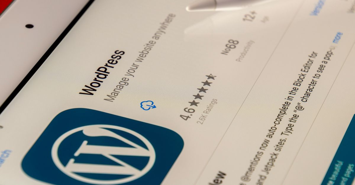 What is the WordPress content management system?